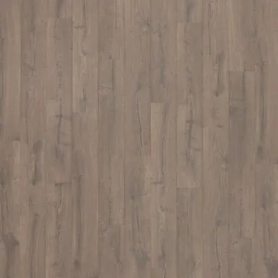 Laminate  Alpine Oak UP3411 PERDESTIA