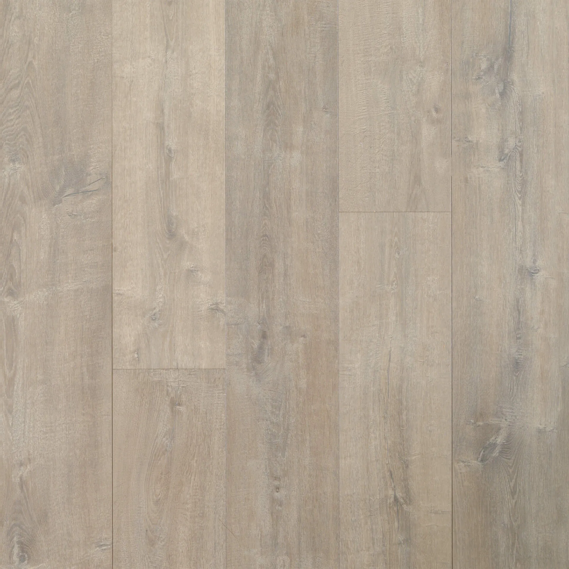 Laminate Providence Oak UC4043 NatureTEK PLUS Colossia Collection